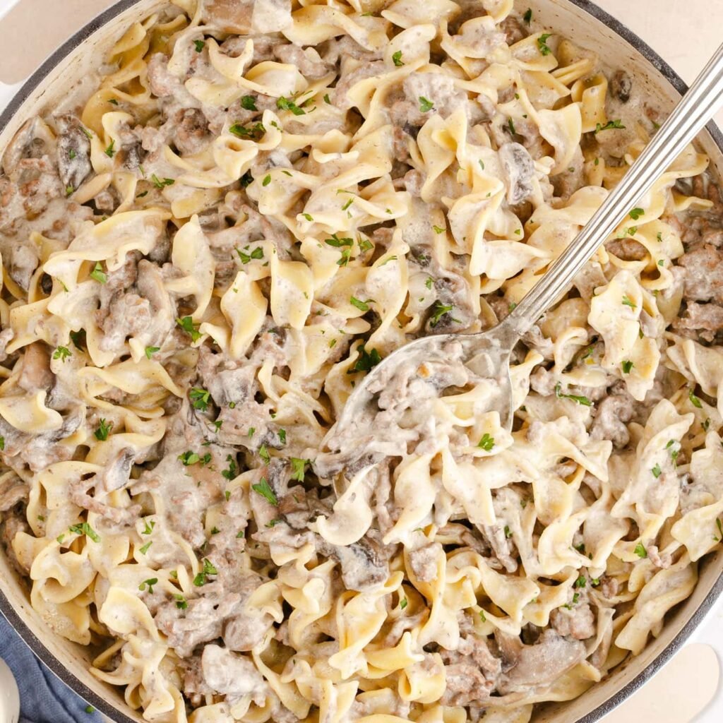 Ground beef stroganoff with egg noodles and mushrooms